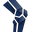 ProKnee logo